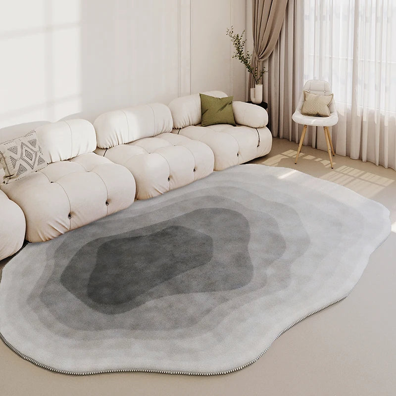 Modern Washable Living Room Carpet